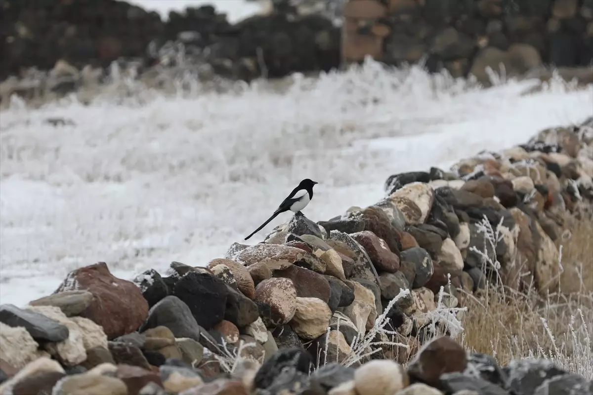 Doğu Anadolu'da Dondurucu Soğuklar Etkisini Sürdürüyor