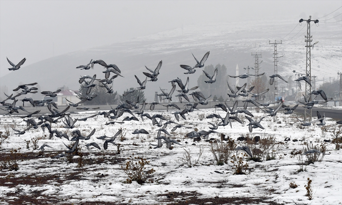 Doğu Anadolu'da karla karışık yağmur bekleniyor
