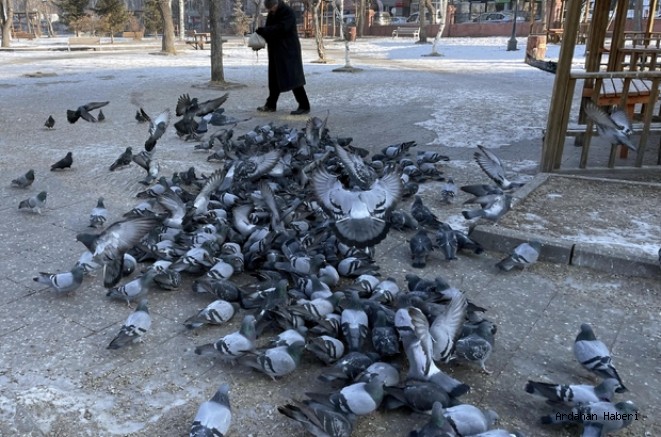 Eksi 25'i gören Ardahan'da esnaf güvercinleri besledi