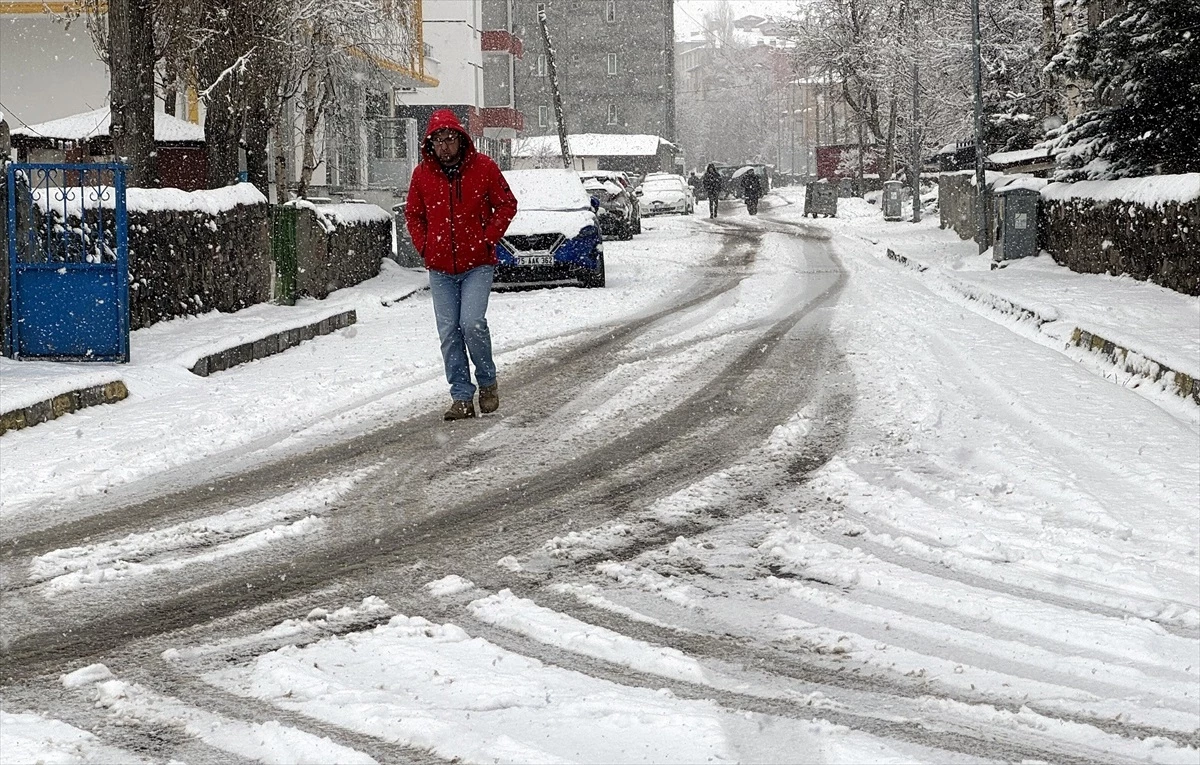 Erzurum, Ardahan ve Kars'ta kar yağışı etkili oluyor