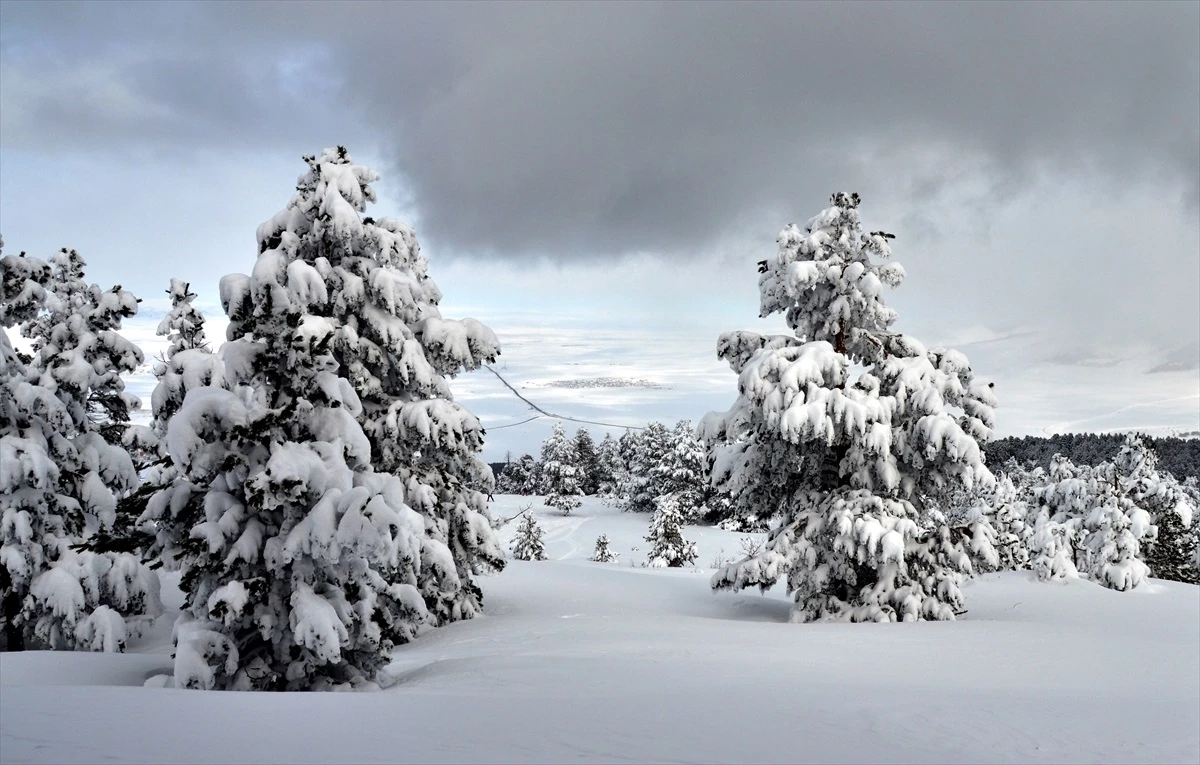 Erzurum, Ardahan ve Kars'ta Soğuk Hava Hayatı Olumsuz Etkiliyor