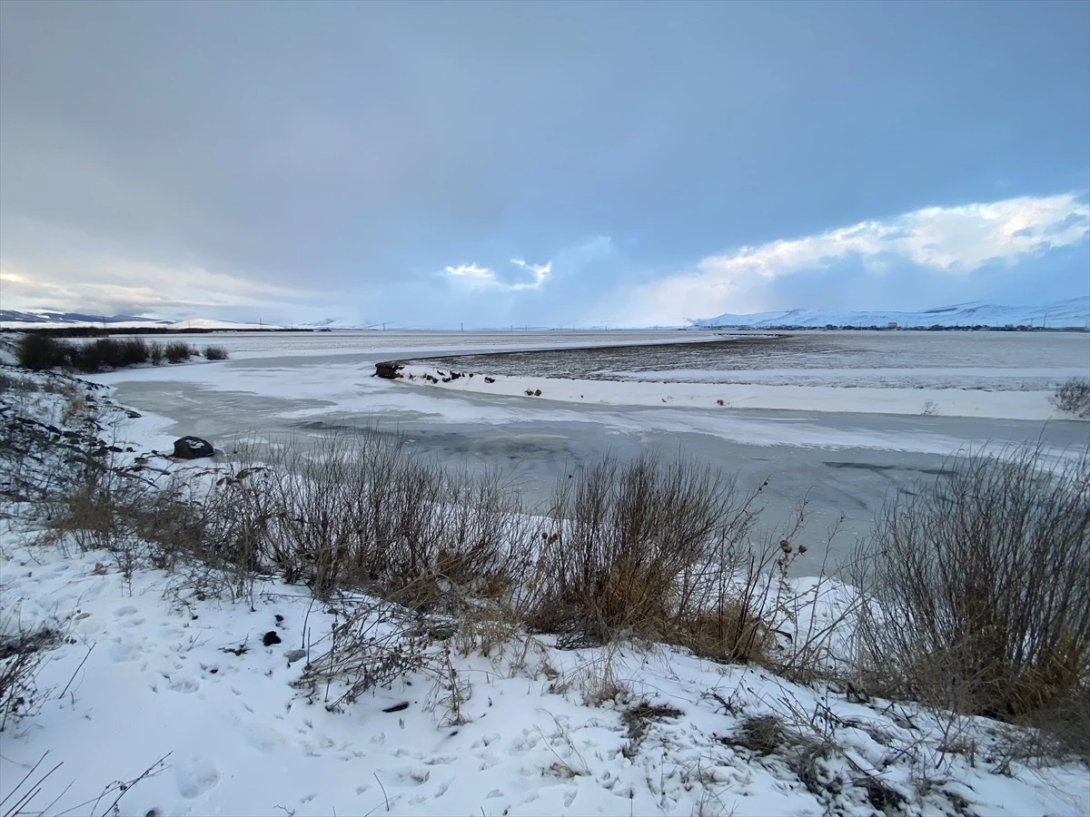 Erzurum, Ardahan ve Kars'ta Soğuk Hava ve Buzlanma Etkisi