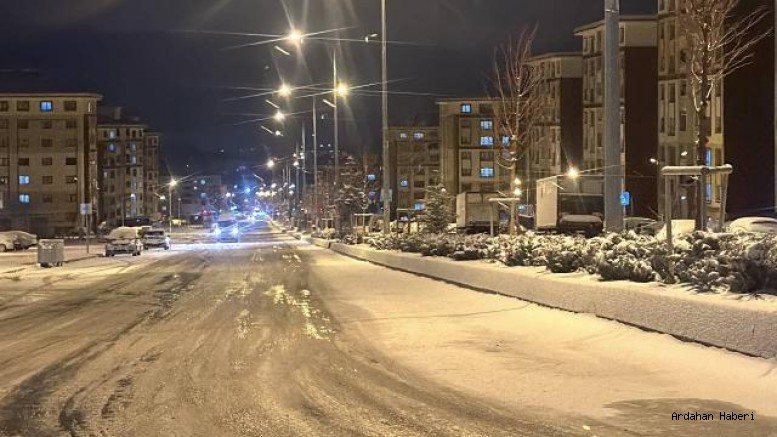 Erzurum'da etkili olan kar yağışı kenti beyaza bürüdü