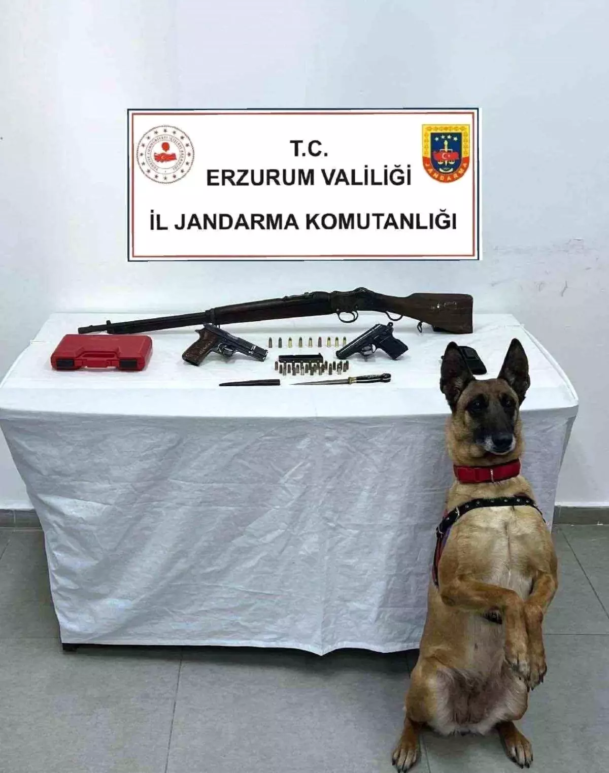 Erzurum'da Jandarma Operasyonu: Kaçak Silah ve Mühimmat Ele Geçirildi