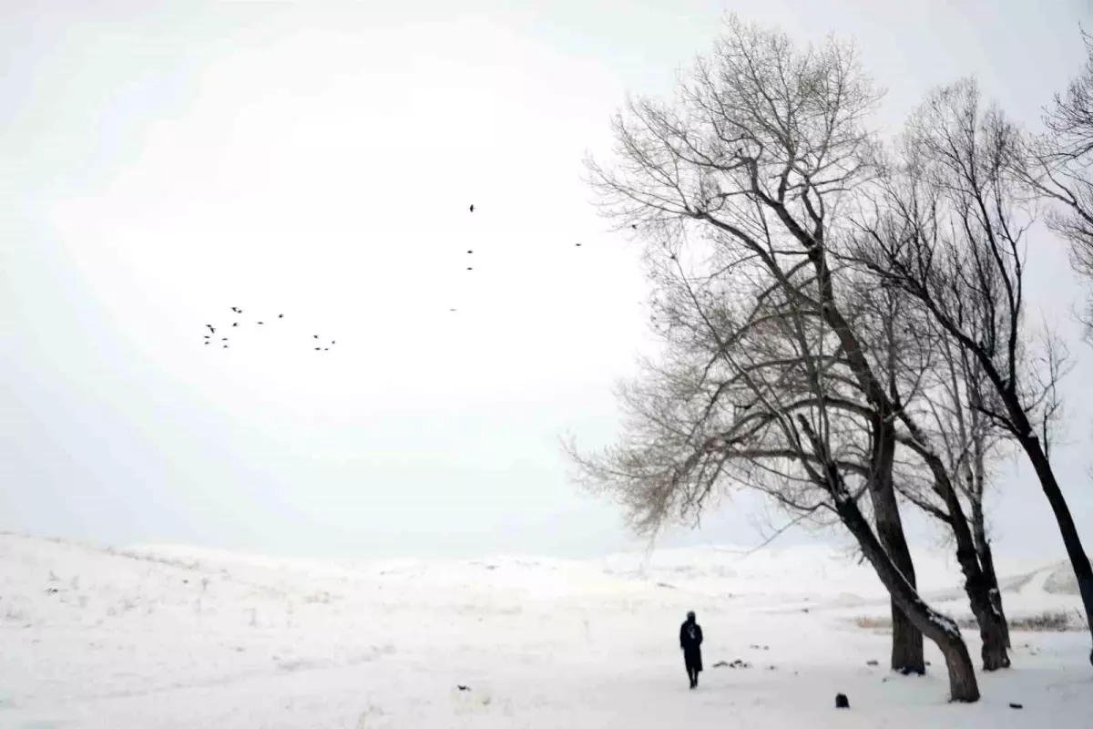 Erzurum'da Soğuk Hava Rekor Kırdı: -25.2 Derece