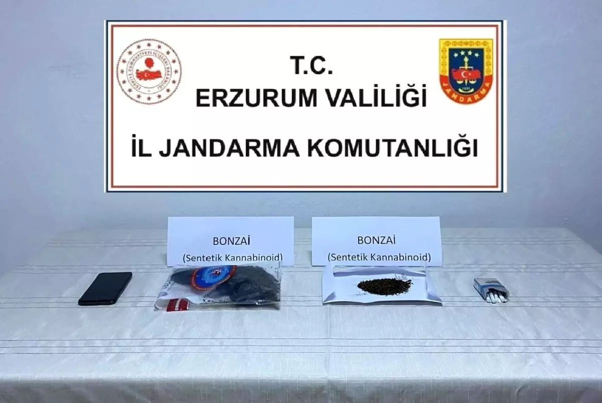 Erzurum'da Uyuşturucu Operasyonunda 10 Şüpheli Yakalandı
