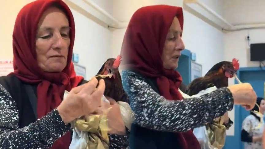 Giresun'da fıkra gibi olay! Tavuk hastanede ameliyat edildi: 'Röntgen çektirirseniz iyi olur dediler, ben de getirdim'