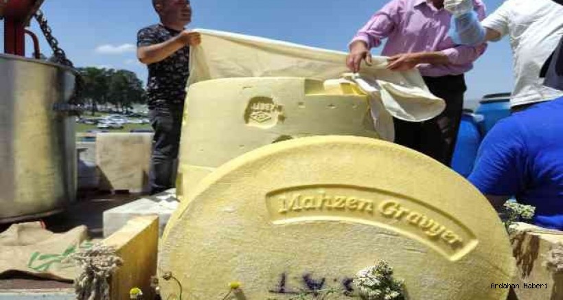 Göle Kültür ve Kaşar Festivali’nde 1 tonluk dev kaşar peyniri, ilgi odağı oldu.