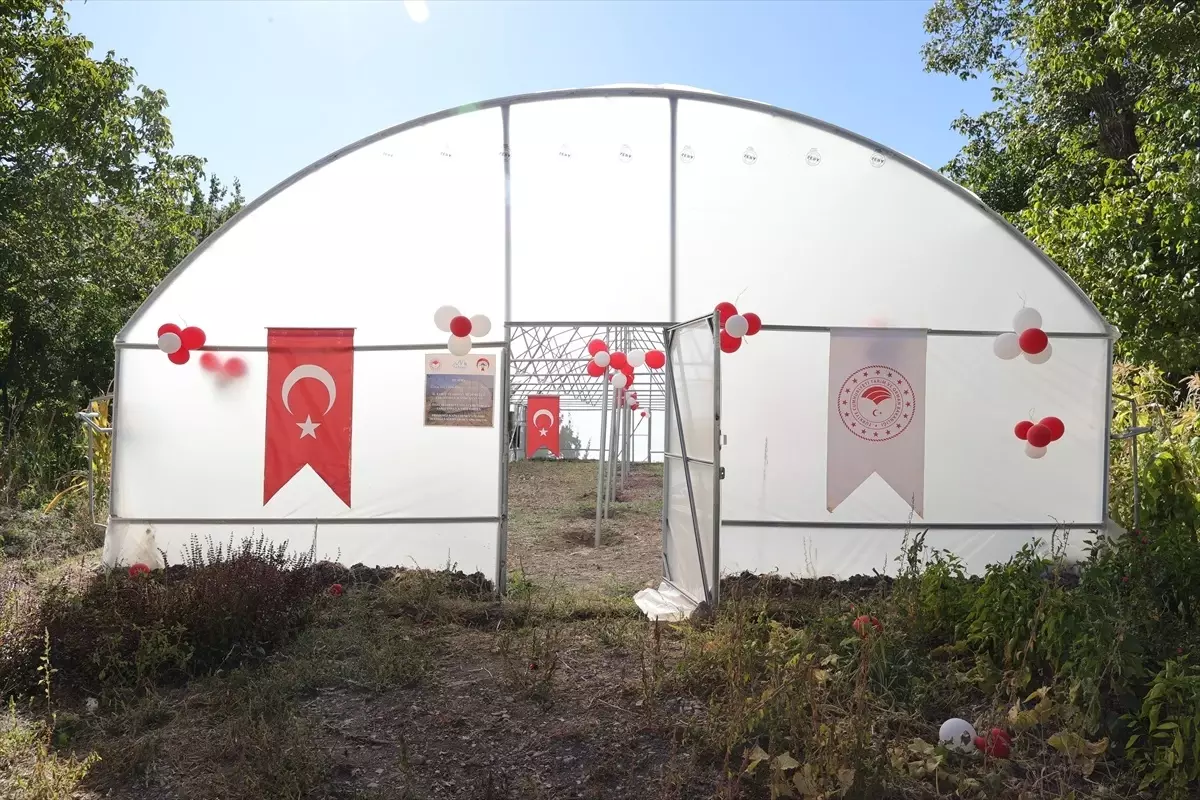 Hakkari’de 13,5 Milyon Liralık Sera Projesiyle Kadın Çiftçilere Destek — 47 Seradan 18’i Kent Merkezinde Teslim Edildi
