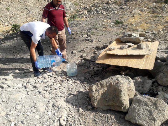 Hakkari'de başıboş köpeklere yiyecek bırakıldı