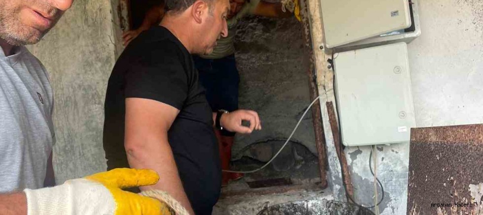 Hanak Belediyesi içme suyu deposunda temizlik ve bakım onarım çalışmaları yaptı.