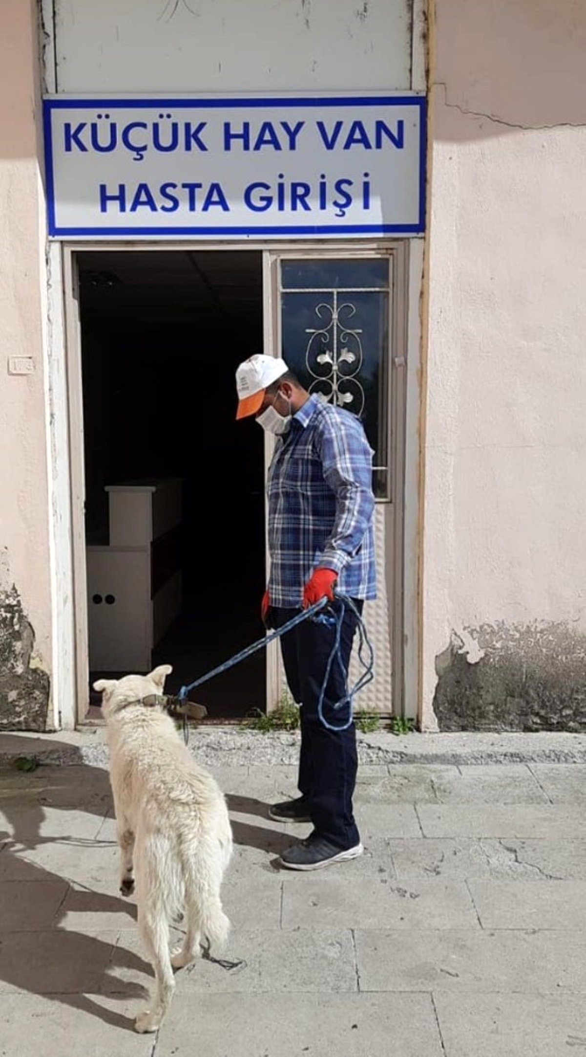 Hayvan sever başkan yaralı köpeği tedavi ettirdi