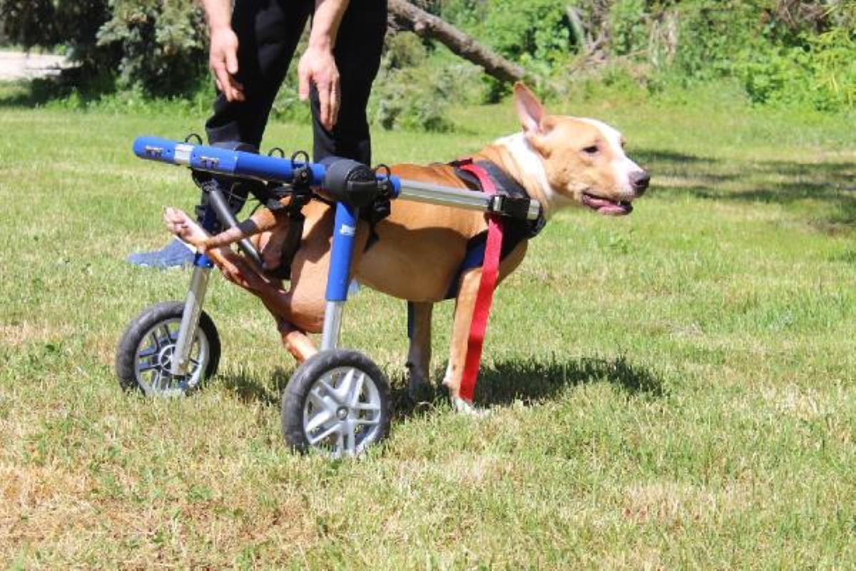 Hepsinin Yürek Sızlatan Bir Hikayesi Var 