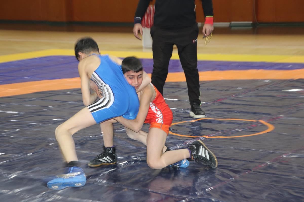 Iğdır'da güreş turnuvası heyecanı sona erdi