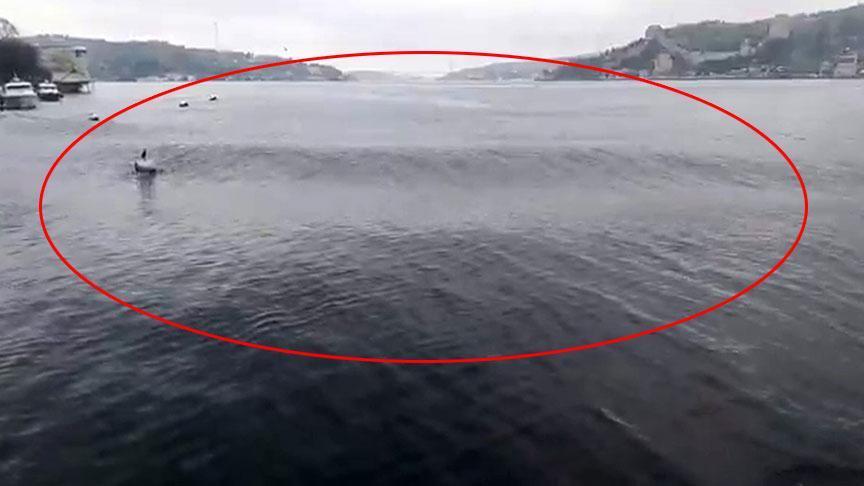 İstanbul'da deprem sonrası korkutan görüntü! Boğaz’da dalgalar kabardı