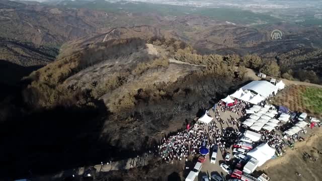 İzmir Buluşması, yanan orman bölgesinde yapıldı