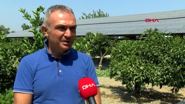 İZMİR ÇİFTLİĞİNE GÜNEŞ ENERJİSİ SİSTEMİ KURAN ÜRETİCİ BORÇLU ÇIKTI