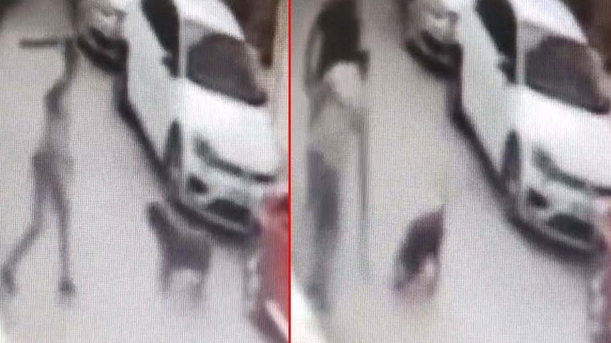 İzmir'de dehşete düşüren olay! Kemerini çıkartıp köpeğe defalarca vurdu