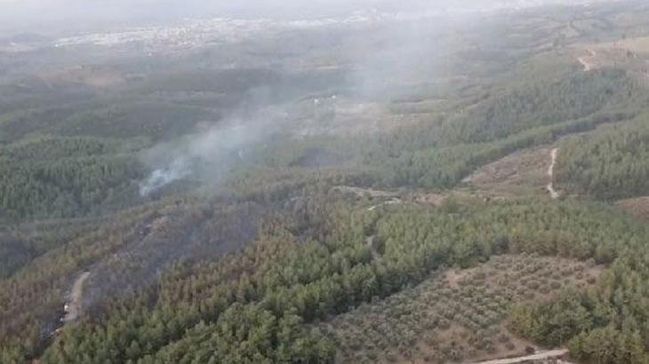 İzmir'deki orman yangınında son durum