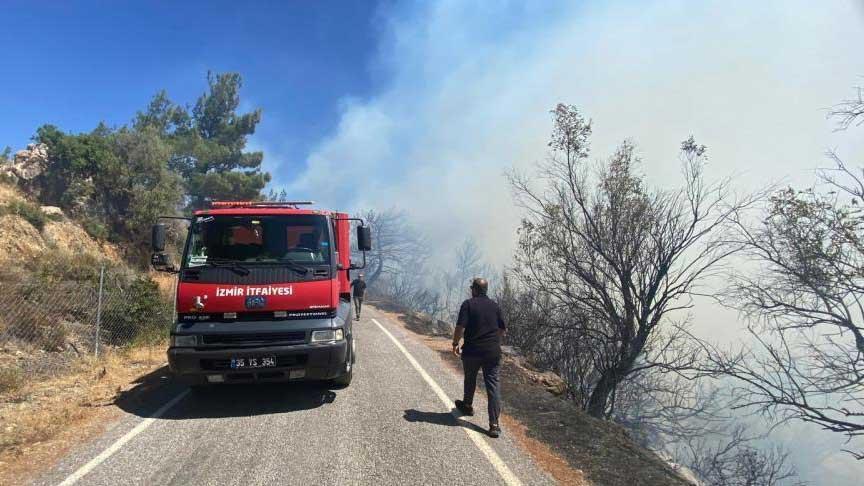 İzmir'in Seferihisar ilçesinde orman yangını kontrol altına alındı