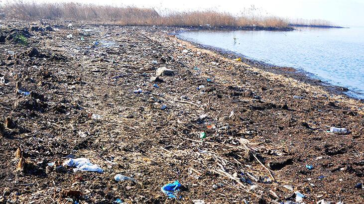 İzmit Körfezi sahili çöplüğe döndü