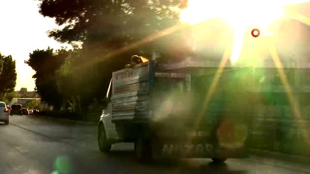 Kamyonet arkasındaki tehlikeli yolculuk kamerada