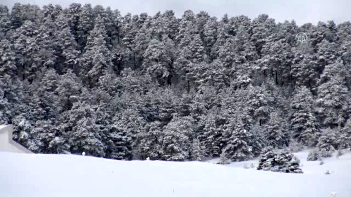 Kar ve sis hayatı olumsuz etkiledi