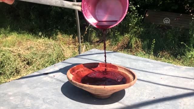 Karadeniz'de karadutun pekmeze yolculuğu başladı