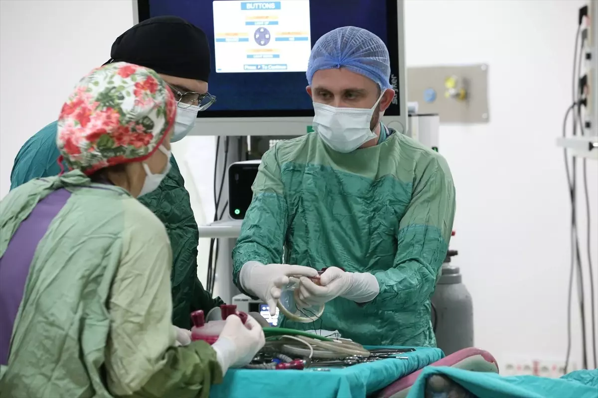 Kars Hastanesi'nde V-Notes Yöntemi ile 22 Hasta Sağlığına Kavuştu