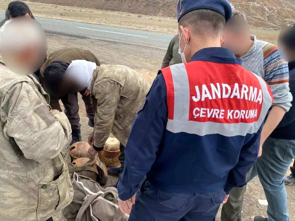Kars'ta Jandarma Kaçak Avcılara Göz Açtırmadı