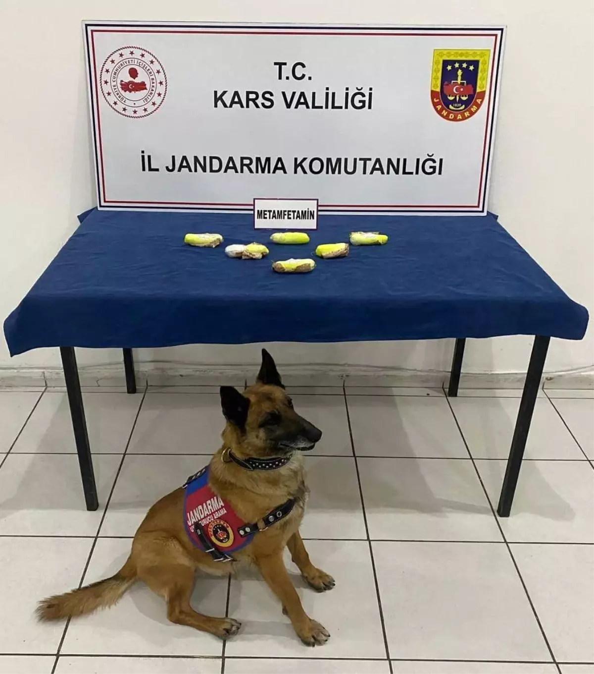 Kars'ta Uyuşturucu Operasyonu: İki İranlı Tutuklandı