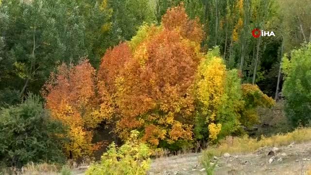 Kars'tan kartpostallık sonbahar görüntüleri