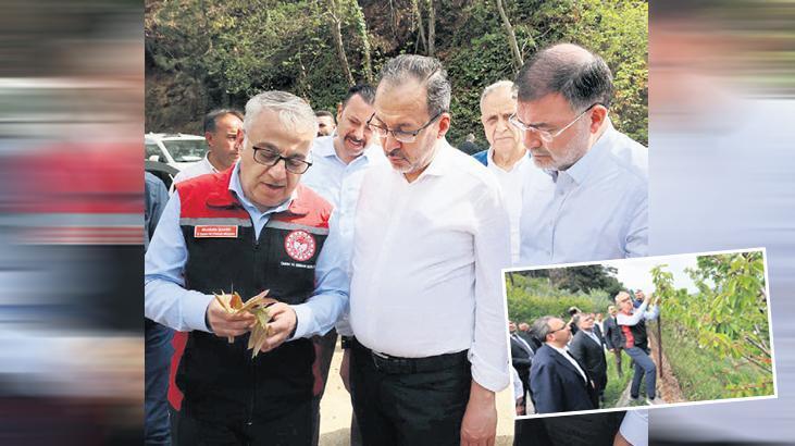 Kasapoğlu: Çiftçinin hasarını karşılayacağız