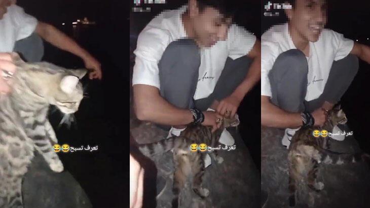 Kediye işkence yapanlar yakalandı