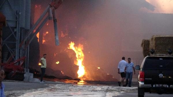 Kırklareli'de büyükbaş hayvanların bulunduğu çiftlikte yangın çıktı