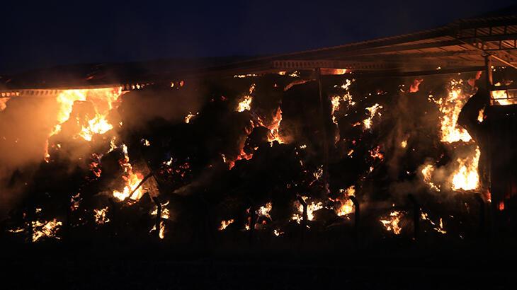 Kırklareli'de hayvan çiftliğinin deposunda korkutan yangın!