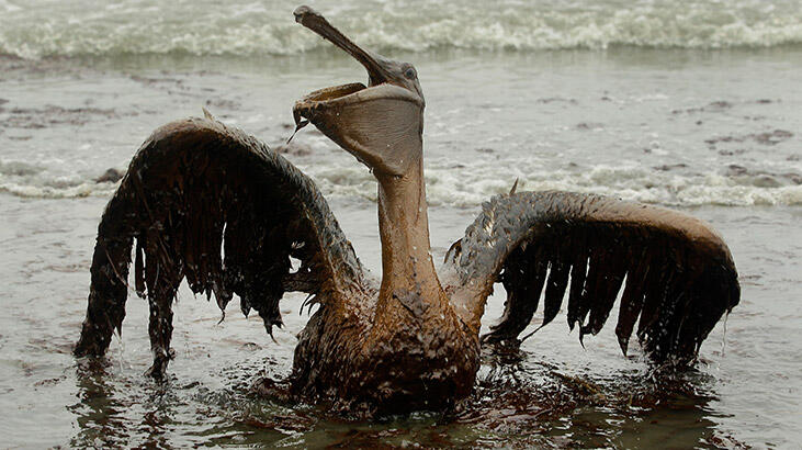 Korkutan uyarı: Daha ölümcül hastalıklar ortaya çıkacak