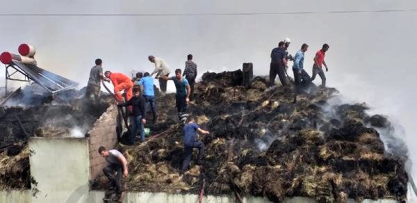 Köydeki yangını söndürmek için dere suyunu bölgeye akıttılar