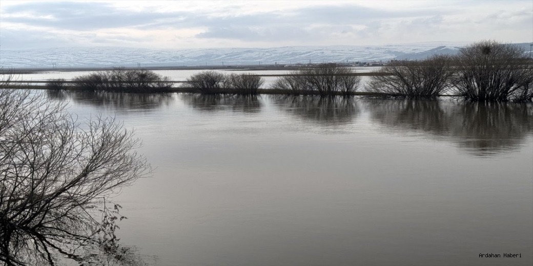 Kura Nehri taştı, Ardahan Ovası'nın mera kısımlarının büyük bölümü su altında kaldı