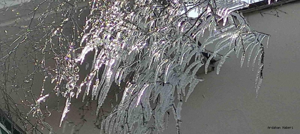 Ardahan'da Dondurucu Estetik: Göle’de Ağaçlar Kristal Açtı