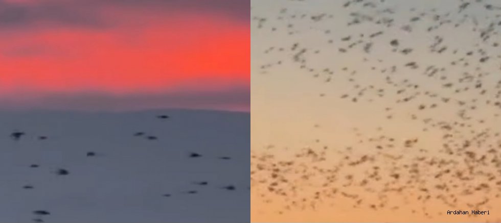 Ardahan’da Gün Batımının Kızıllığı ve Kuşların Uçuşu Büyüledi