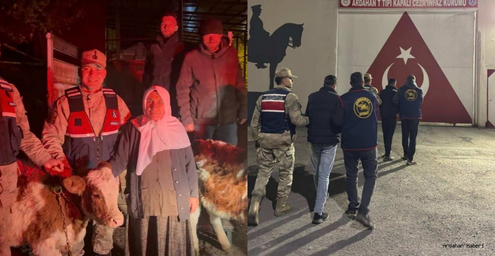 Ardahan’da JASAT’tan Başarılı Operasyon: Çalınan Büyükbaş Hayvanlar Sahibine Teslim Edildi