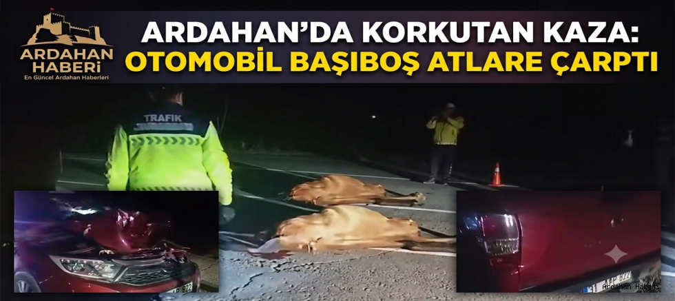 Ardahan'da Korkutan Kaza: Otomobil Başıboş Atlara Çarptı