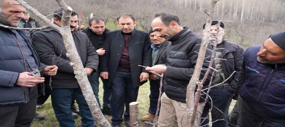 Ardahan’da Meyvecilikte Verim Seferberliği: Üreticilere Aşılama ve Budama Eğitimi