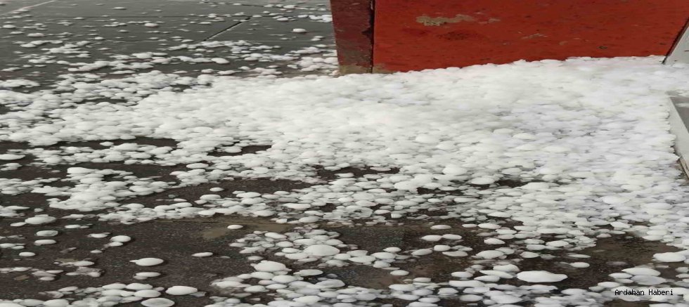 Ardahan’da sağanakla birlikte etkili olan dolu, tarım arazileri ile araçlarda hasara neden oldu.