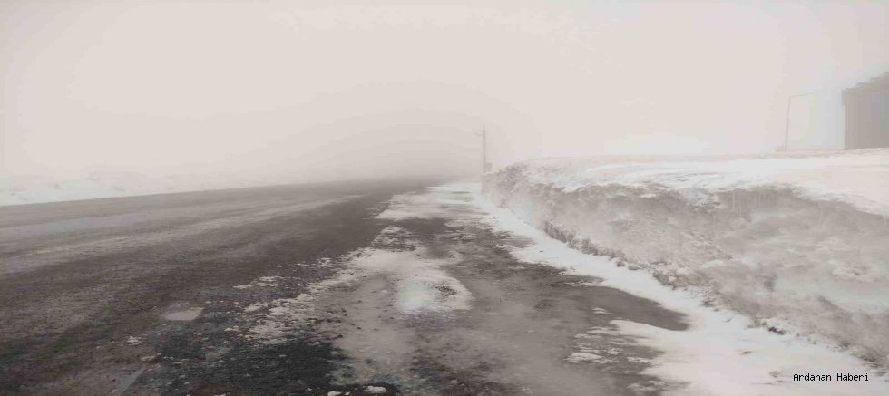Ardahan'da Sis ve Kar Esareti: Sahara Geçidi’nde Ulaşım Durma Noktasında