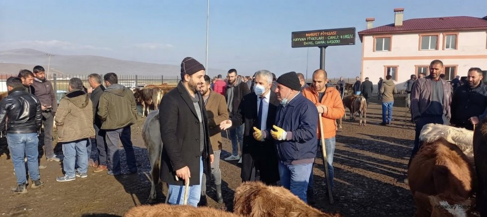 Ardahan Göle'de Şap Hastalığı Alarmı: Hayvan Pazarı Kapatıldı ve Karantina Başlatıldı