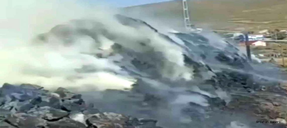 Ardahan Haberi: Damal Seyitören köyünde tezek yığını ve 250 balya ot kül oldu