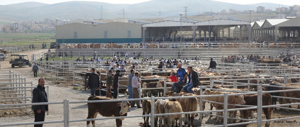 Ardahan Hayvan Pazarı’nda Yeni Dönem: Kurallar Değişti!