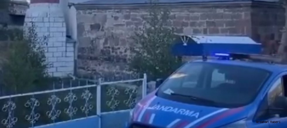 Ardahan Jandarmasından Çiftçilere ve Besicilere Başıboş Hayvan Uyarısı